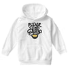 please send queso Youth Hoodie