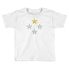 deutschland weltmeitser 4 sterne Toddler T-shirt
