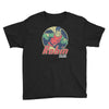 robin the boy wonder Youth Tee