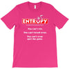 entropy T-Shirt