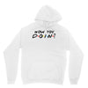How You Doin of The Friends Parody Unisex Hoodie