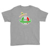 celebrate cinco de mayo Youth Tee