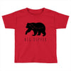 Big Dipper Toddler T-shirt