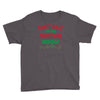 don't hate on my christmas music Youth Tee