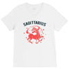 sagittarius zodiac V-Neck Tee