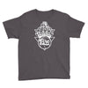 its all about new york basketball bro Youth Tee