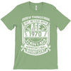 Things Better 1970 Age Approach Magnificent T-Shirt