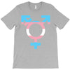 transgender T-Shirt