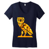 owl Women's V-Neck T-Shirt