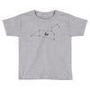 Leo Star Toddler T-shirt