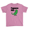 pregasaurus rex Youth Tee
