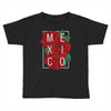 mexico with roses Toddler T-shirt