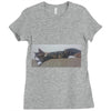 20170307 214809 1 Ladies Fitted T-Shirt