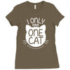 i only have one cat my cat has a few cat Ladies Fitted T-Shirt