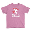 i tried it at home! funny Youth Tee