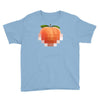 peach t Youth Tee