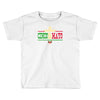 cinco de mayo 2018 party Toddler T-shirt