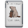dam iPad Mini