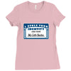 i stole your identity and now my life sucks Ladies Fitted T-Shirt