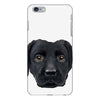 Dog2 iPhone 6 Plus/6s Plus Case
