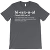 Bisexual Dictionary T-Shirt