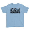 Animals Are Not Ingredients Youth Tee