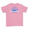 walter white laboratories Youth Tee