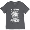my body is a temple in which a lot of pigs have been sacificed V-Neck Tee
