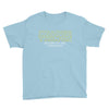 Stranger Things Return Of The Demogorgon Youth Tee