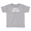 hello you c'nt Toddler T-shirt