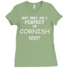 perfect cornish Ladies Fitted T-Shirt