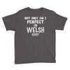 perfect welsh Youth Tee