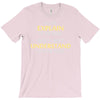 engineer's motto can't understand it for you T-Shirt