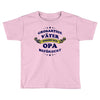 papa   vater   opa Toddler T-shirt