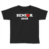 Senior 2018 Toddler T-shirt