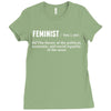 Feminist Noun Ladies Fitted T-Shirt