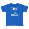 trig or treat1 Toddler T-shirt