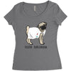 Dogtor Women's Triblend Scoop T-shirt