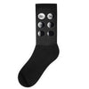 the phases of the moon of laika dog Socks