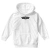 pinstripe 2 skull humor funny Youth Hoodie