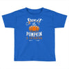 sweet as pumpkin pi Toddler T-shirt