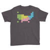 periodic table of america Youth Tee