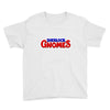 Sherlock Gnomes Youth Tee