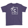 christmas periodic table of elements Youth Tee