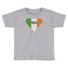 donnelly irish superhero Toddler T-shirt
