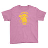 vermilion gym Youth Tee