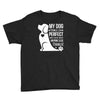 my dog think i m perfect who cares what anyone else things Youth Tee