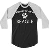 dog breed 3/4 Sleeve Shirt