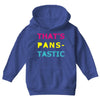 pansexual pride Youth Hoodie
