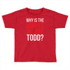 why is the carpet wet todd Toddler T-shirt